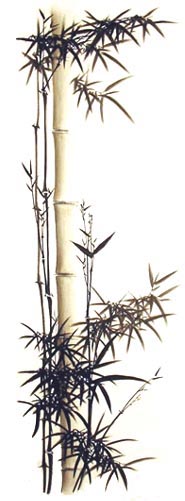 bambooborder2